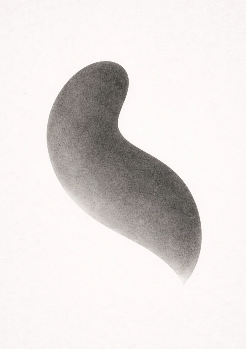 Form No. 1